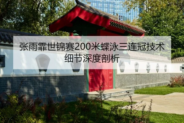 张雨霏世锦赛200米蝶泳三连冠技术细节深度剖析