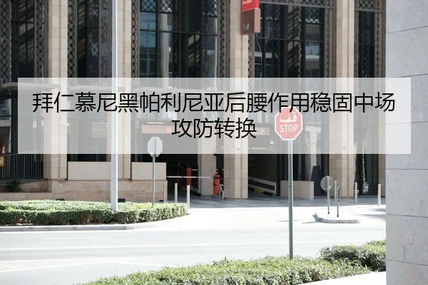 拜仁慕尼黑帕利尼亚后腰作用稳固中场攻防转换