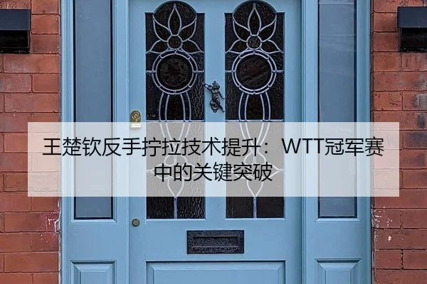 王楚钦反手拧拉技术提升：WTT冠军赛中的关键突破