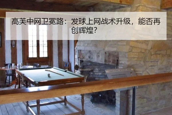 gao-fu-zhong-wang-wei-mian-lu-fa-qiu-shang-wang-zhan-shu-sheng-ji-neng-fou-zai-chuang-hui-huang-2-362.jpg
