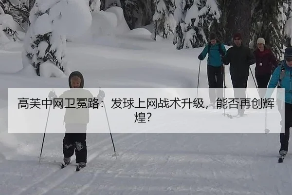 高芙中网卫冕路：发球上网战术升级，能否再创辉煌？